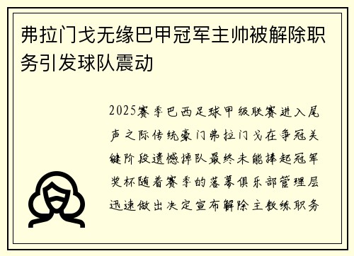 弗拉门戈无缘巴甲冠军主帅被解除职务引发球队震动